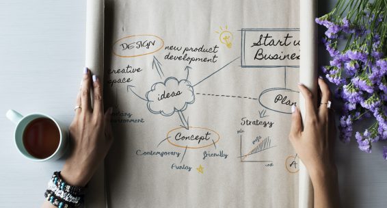 Diagram graphic on a rolled paper